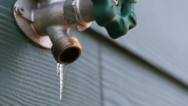 Best Septic Systems  in Young Harris, GA