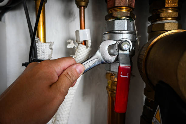 Best Same-Day Plumbing Service  in Young Harris, GA